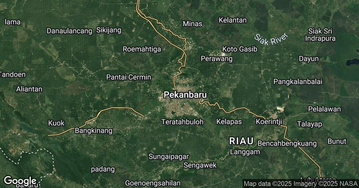 43.245.254.2 Pekanbaru, Riau, 🇮🇩 Indonesia