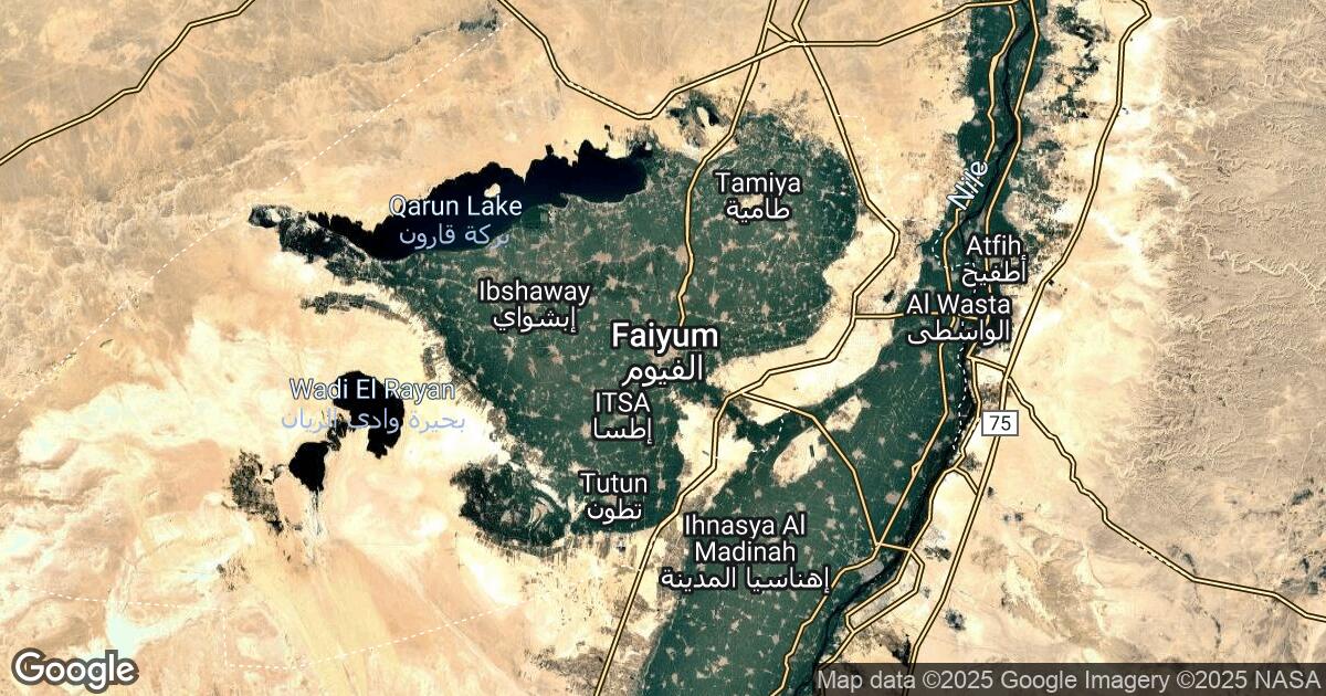 41.46.22.251 Al Fayyum, Faiyum, 🇪🇬 Egypt