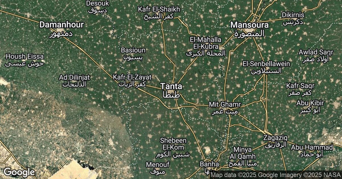 81.10.93.12 Tanta, Gharbia, 🇪🇬 Egypt