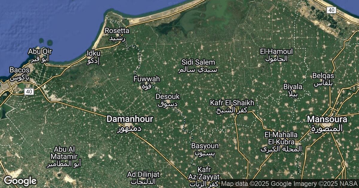 41.235.60.65 Munshāt ‘Alī Āghā, Kafr el-Sheikh, 🇪🇬 Egypt
