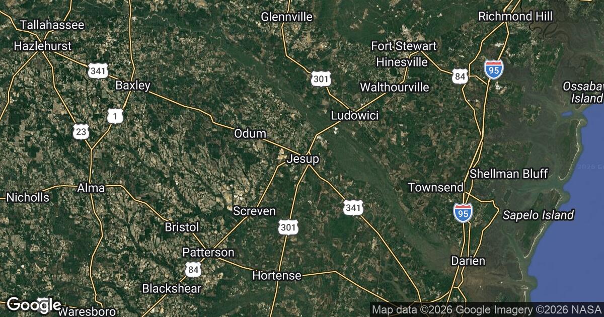 216.81.100.255 Jesup, Georgia, 🇺🇸 USA