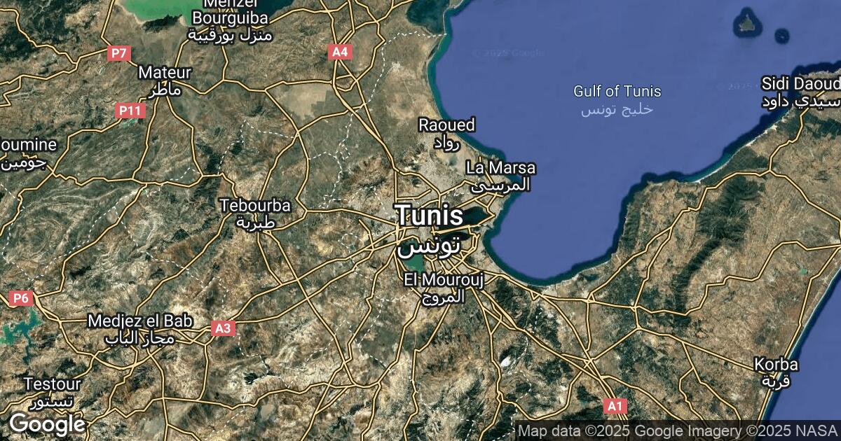 41.228.40.117 Tunis, Tunis Governorate, 🇹🇳 Tunisia