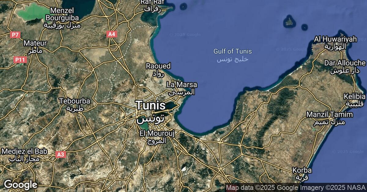 193.95.13.147 Carthage, Tunis Governorate, 🇹🇳 Tunisia