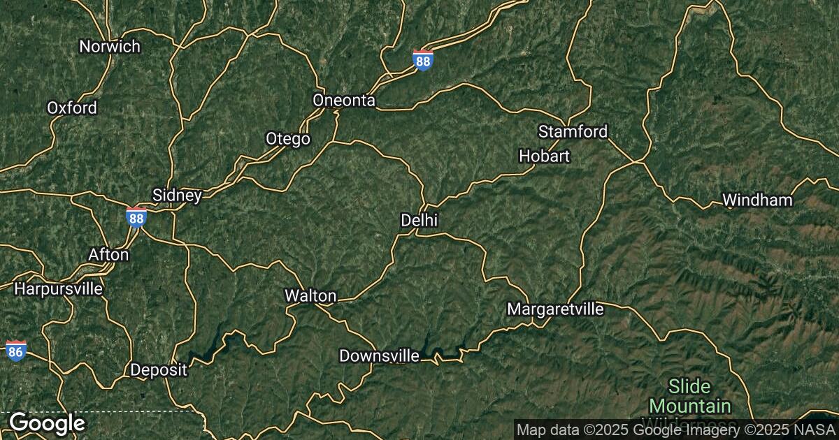 204.14.56.51 Delhi, New York, 🇺🇸 USA