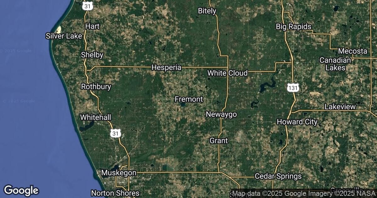 199.176.124.0 Fremont, Michigan, 🇺🇸 USA