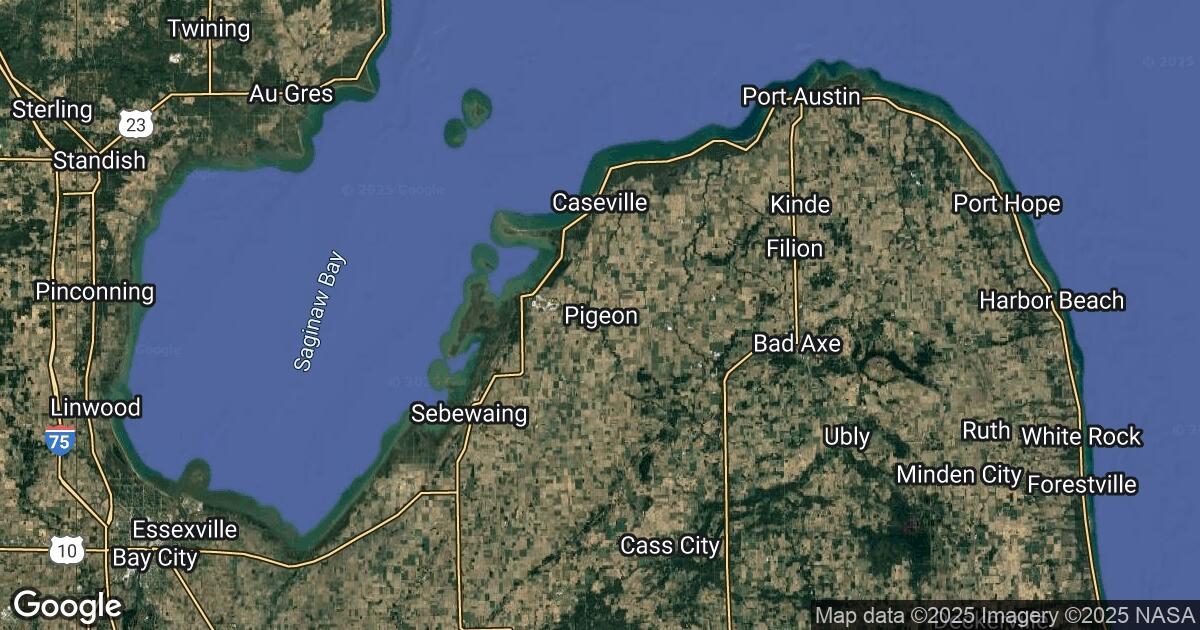 119.12.79.139 Pigeon, Michigan, 🇺🇸 USA