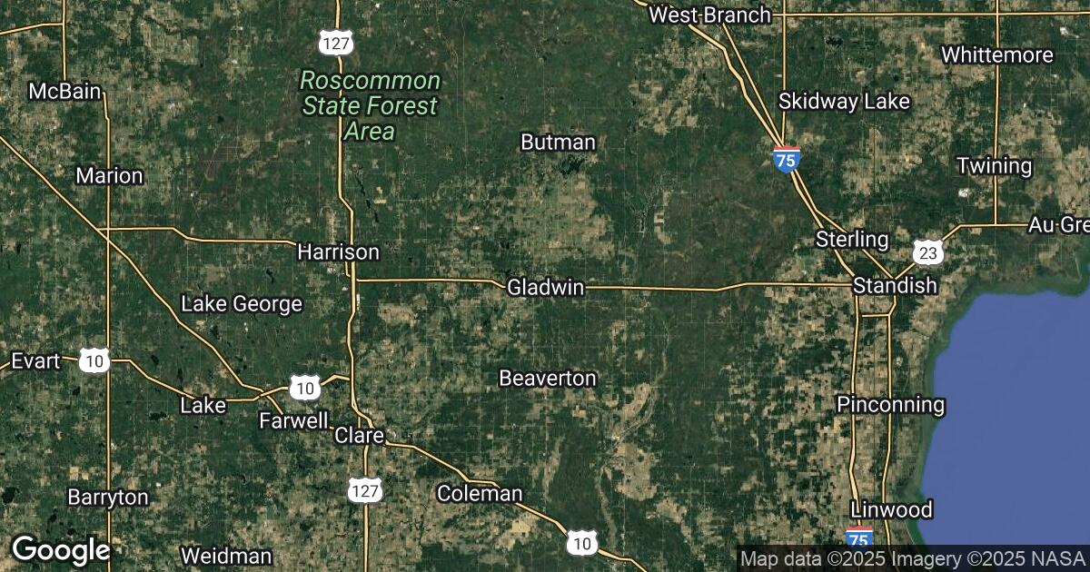 66.219.112.111 Gladwin, Michigan, 🇺🇸 USA