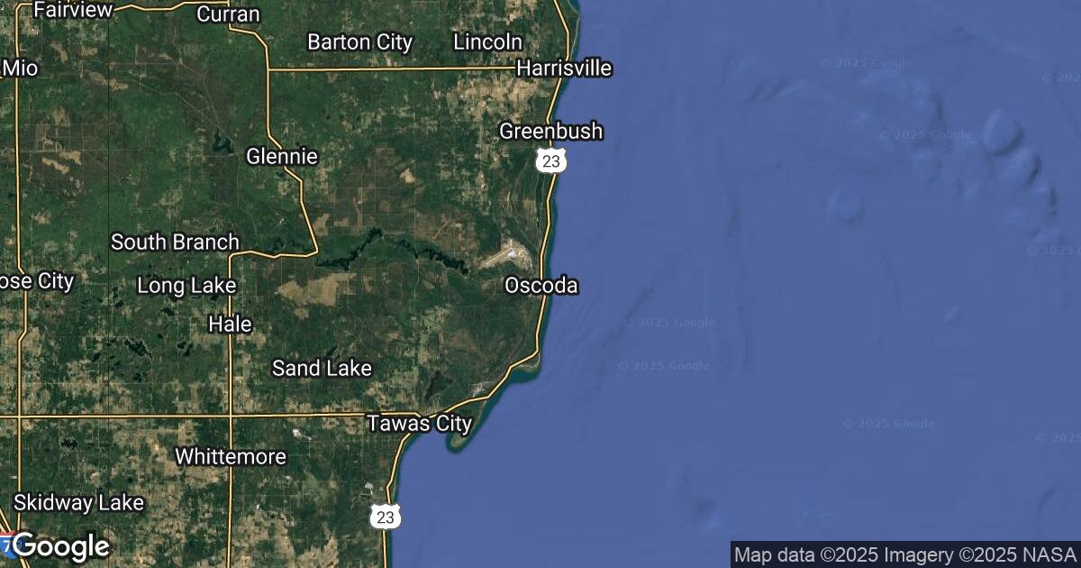 205.203.169.100 Oscoda, Michigan, 🇺🇸 USA