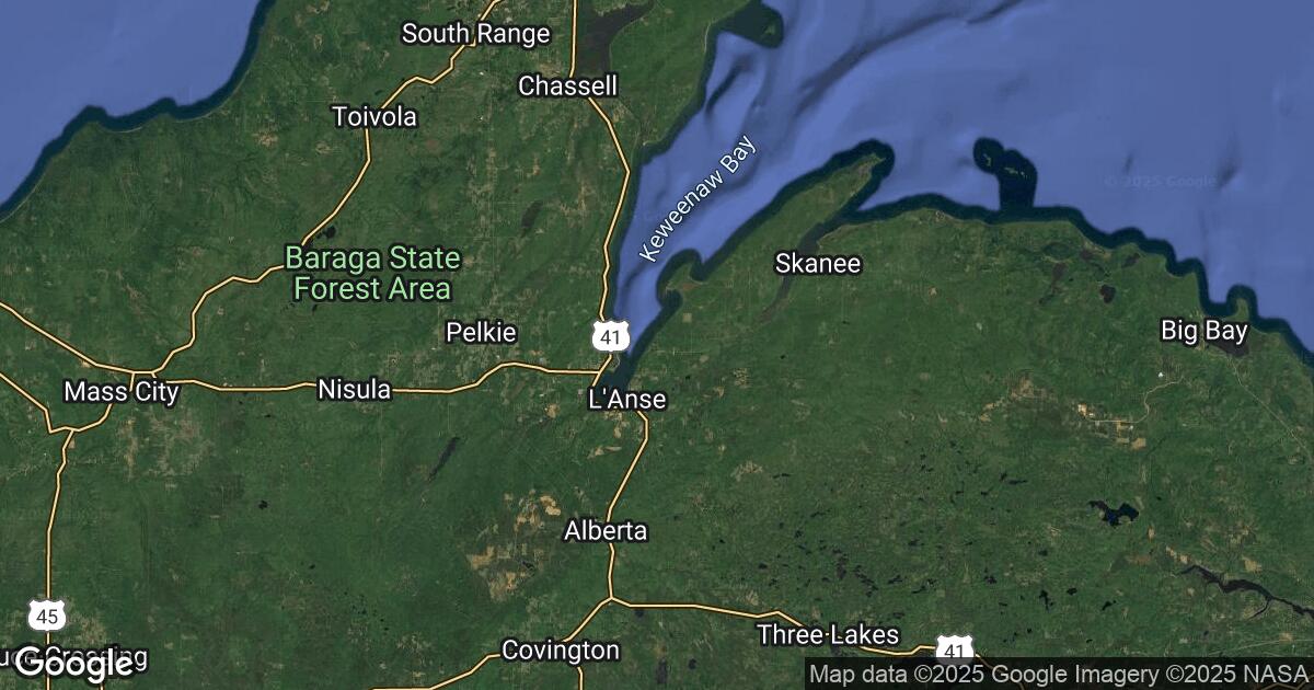 206.51.115.107 Zeba, Michigan, 🇺🇸 USA