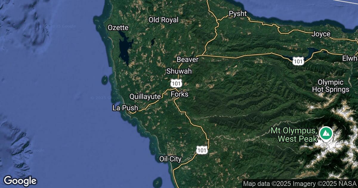 209.206.255.204 Forks, Washington, 🇺🇸 USA