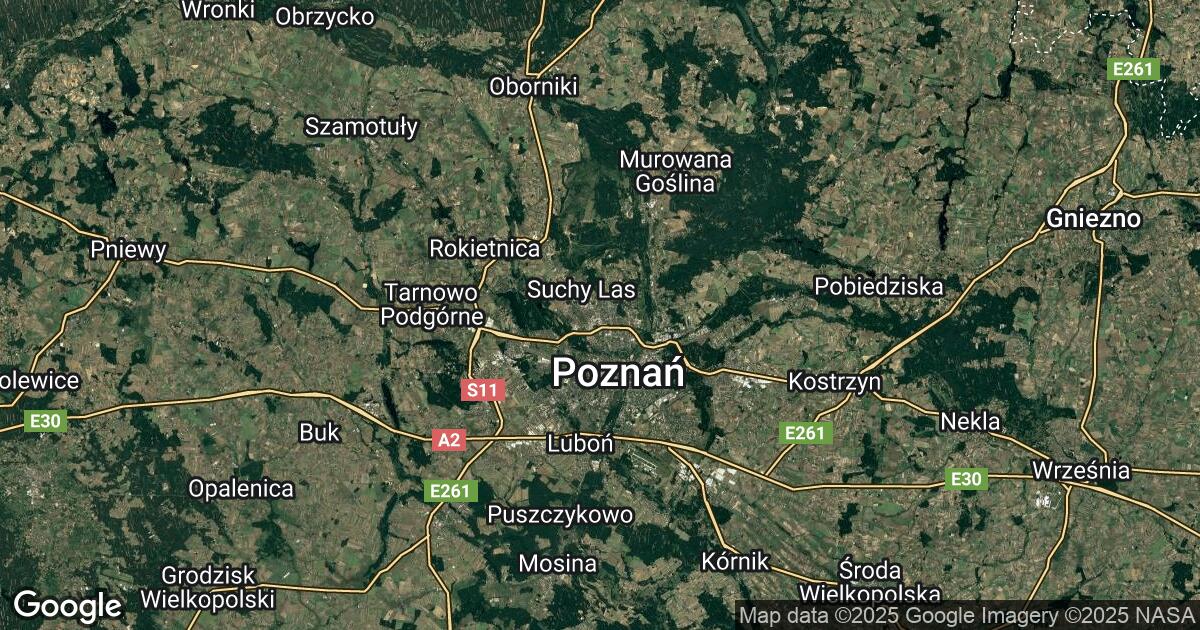 195.110.49.49 Poznań, Greater Poland, 🇵🇱 Poland