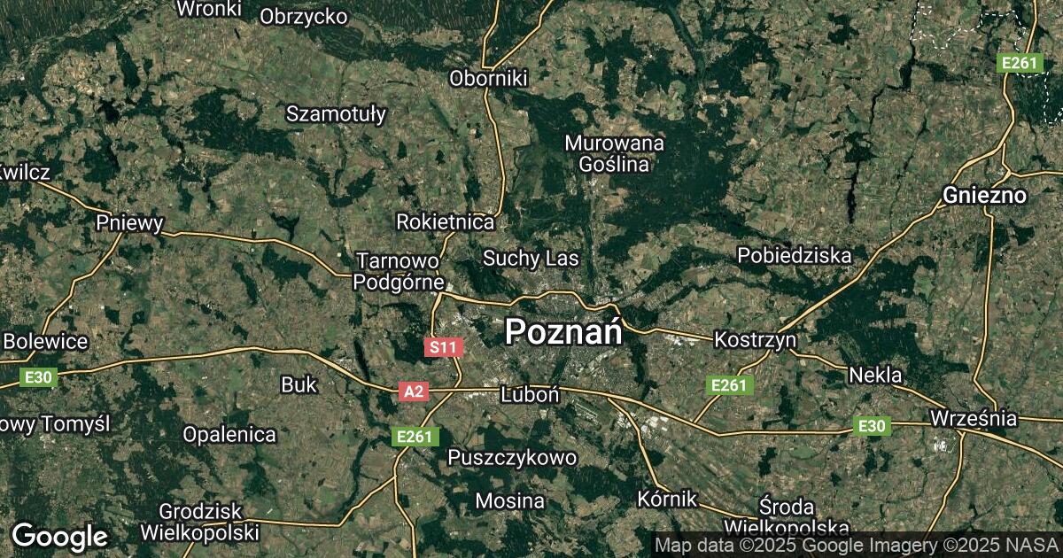 91.198.118.0 Poznań, Greater Poland, 🇵🇱 Poland
