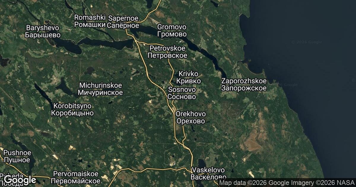 194.190.196.81 Sosnovo, Leningradskaya Oblast', 🇷🇺 Russia