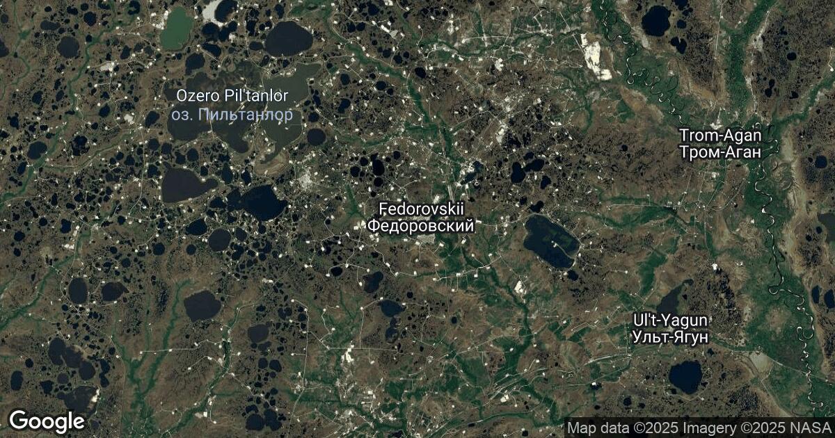 217.114.176.154 Fedorovskiy, Khanty-Mansia, 🇷🇺 Russia