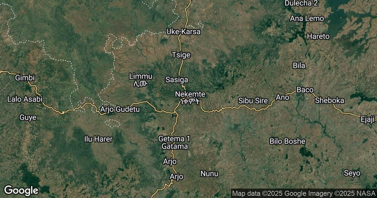 196.190.251.3 Nek’emtē, Oromiya, 🇪🇹 Ethiopia